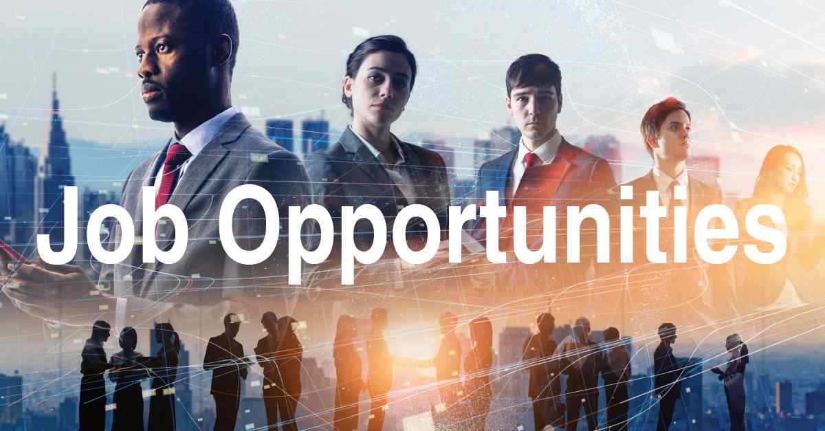 jobs after mim in usa